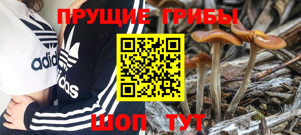 Псилоцибиновые грибы Magic Shrooms Пугачёв